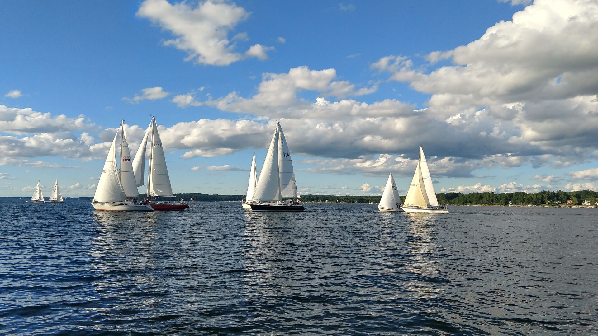 sailboat group